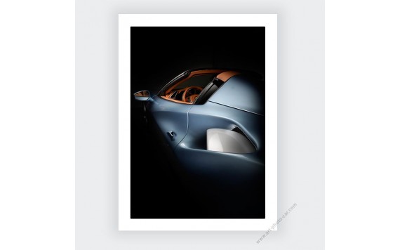 Ferrari 488 TAILOR MADE photo IX