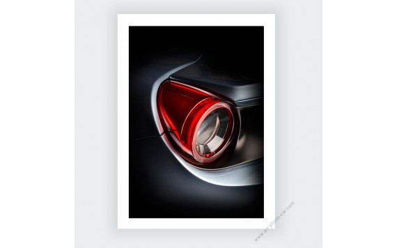 Ferrari 488 TAILOR MADE photo XI